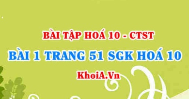 Bài 1 trang 51 SGK Hoá 10 Chân trời sáng tạo